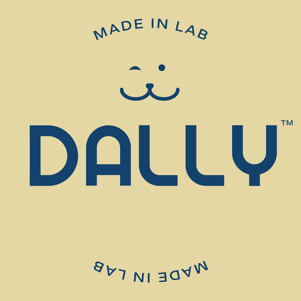 강아지 영양제 관절 터마신 달리 메이드인랩 100개입, 4개