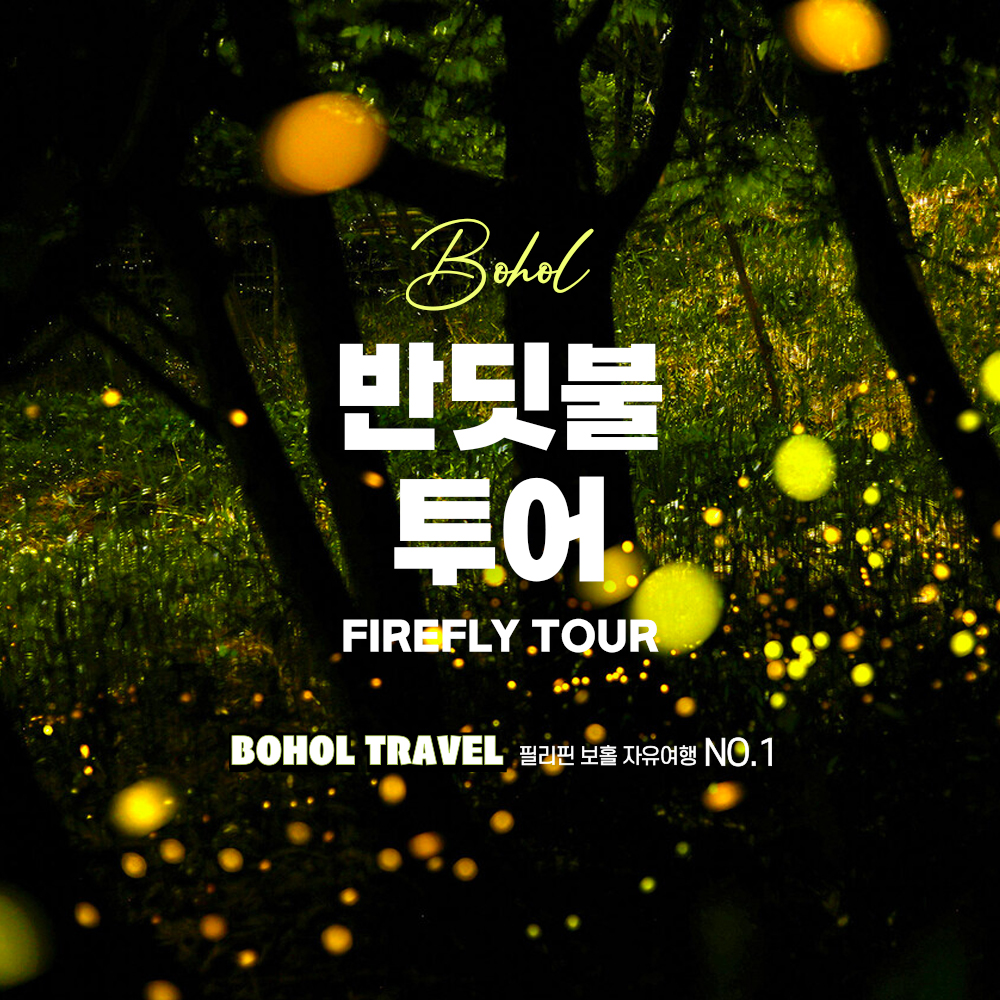 [보홀트래블] 보홀 반딧불 투어 (픽드랍,나이트투어) : 두잇트래블