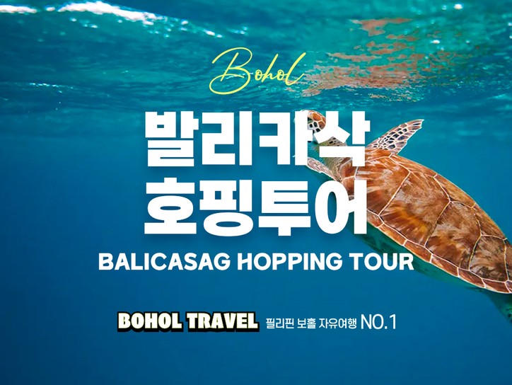 보홀 발리카삭 투어 스노클링 프라이빗