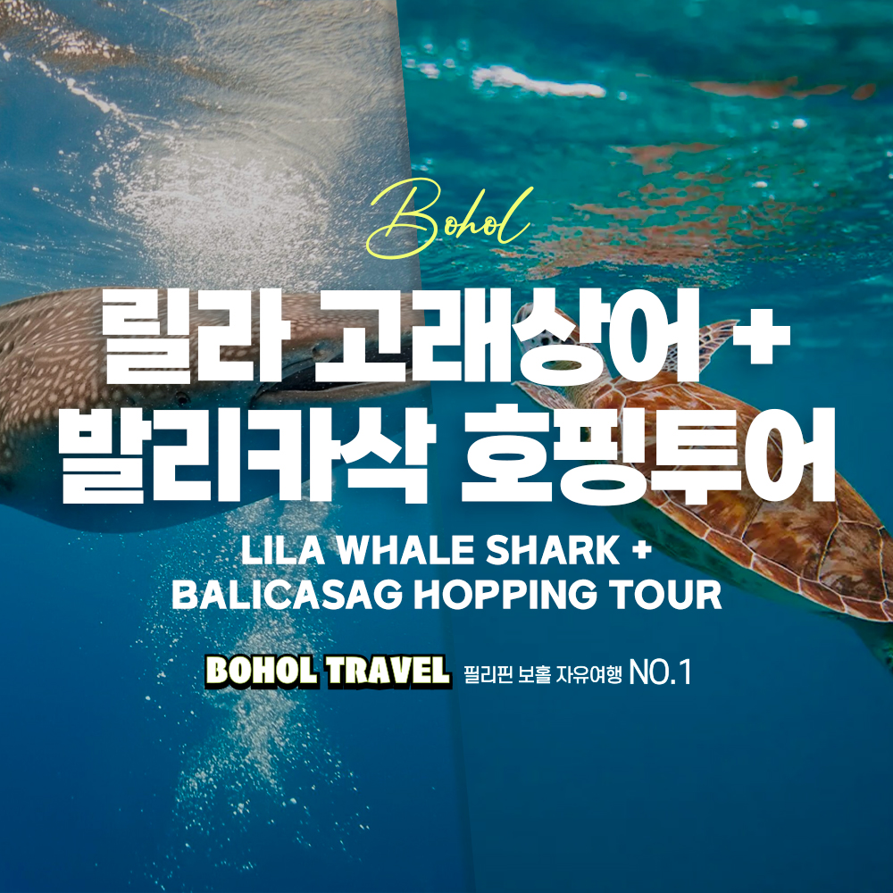 [보홀트래블] 보홀 릴라 고래상어+발리카삭 호핑투어 (수중촬영 픽드랍 단독 전담가이드) : 두잇트래블