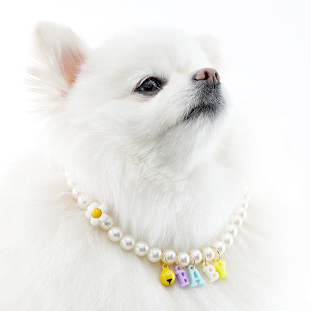 개과천선 클라라 강아지 목걸이 고급 애견 악세서리 패션 용품 비즈 체인 리본 방울 고양이