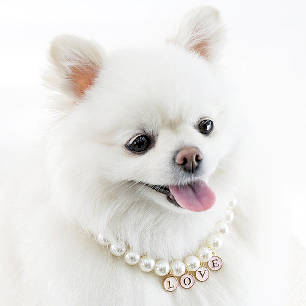 개과천선 러브밍 강아지 목걸이 고급 애견 악세서리 패션용품 비즈 체인 이니셜 고양이 핑크