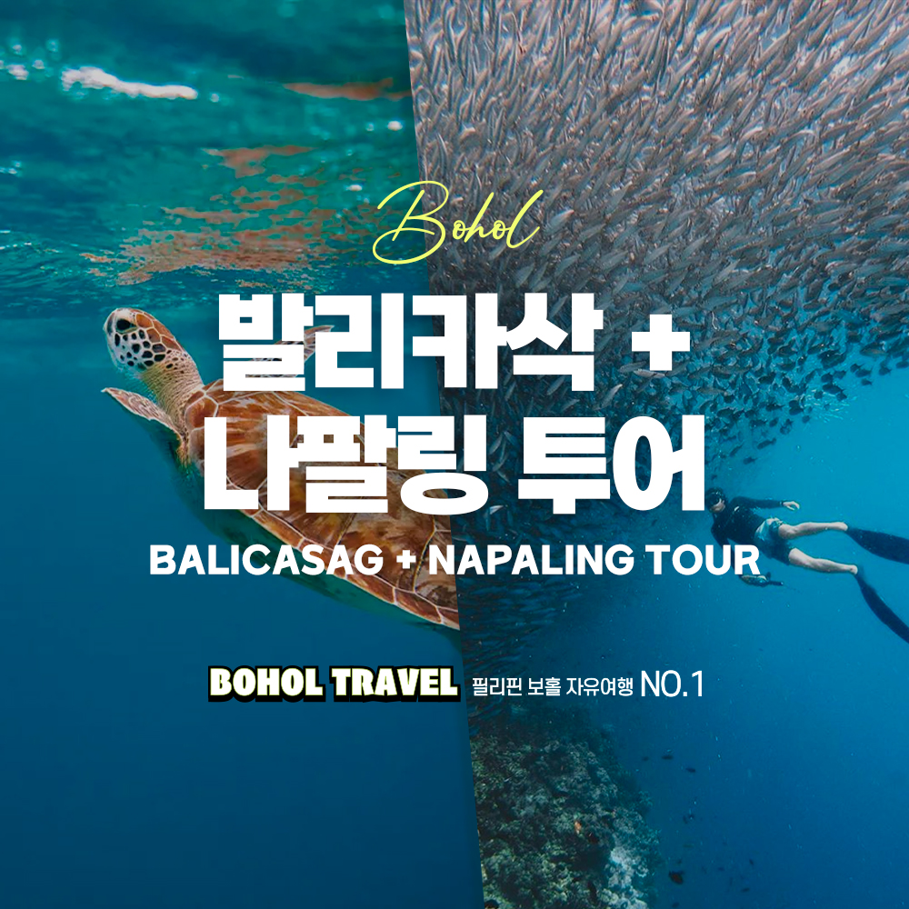 보홀 발리카삭 나팔링 투어 단독 스노쿨링 수중촬영 픽드랍 조식 전담가이드