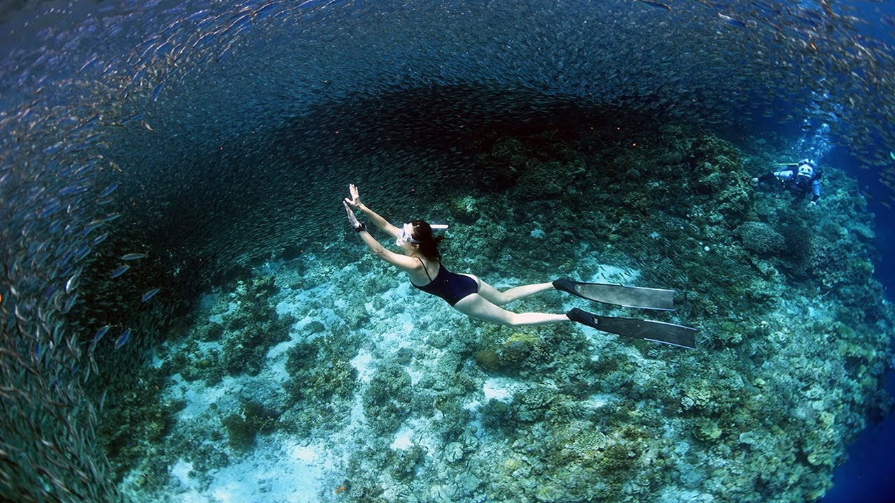 보홀 발리카삭 나팔링 투어 단독 스노쿨링 수중촬영 픽드랍 조식 전담가이드