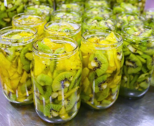 규린이네 파인애플키위청 수제청 과일청 답례품 차 선물세트 카페 납품 500g