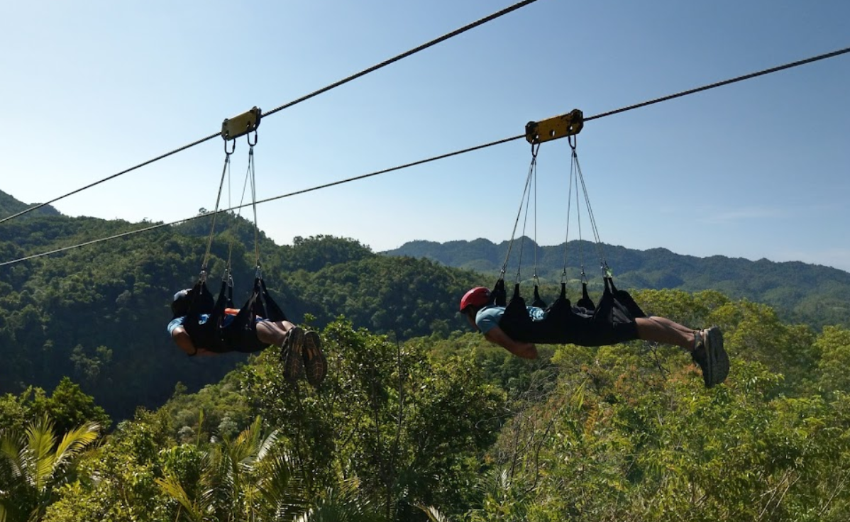보홀 육상투어 단독차량 초콜릿힐 안경원숭이 로복강