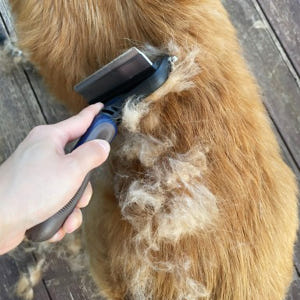 강아지 털갈이 빗 디디브러쉬 고양이 대형견 브러쉬 죽은털 엉킨털 S 솔직 후기 | 실제 사용자 리뷰 총정리 - 상품 이미지 2