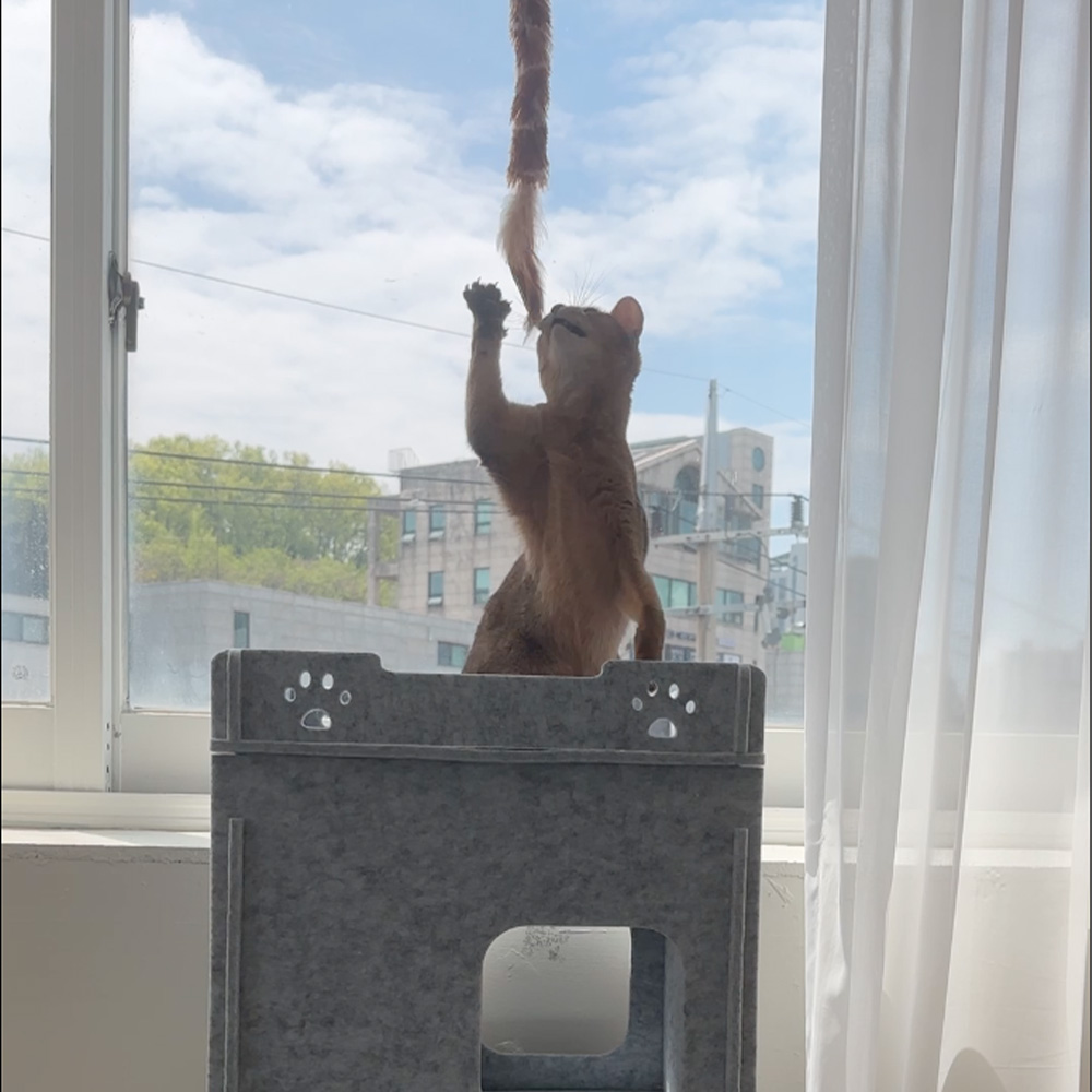 MIAMIA 펠트 고양이 숨숨 집 터널 캣타워 대형