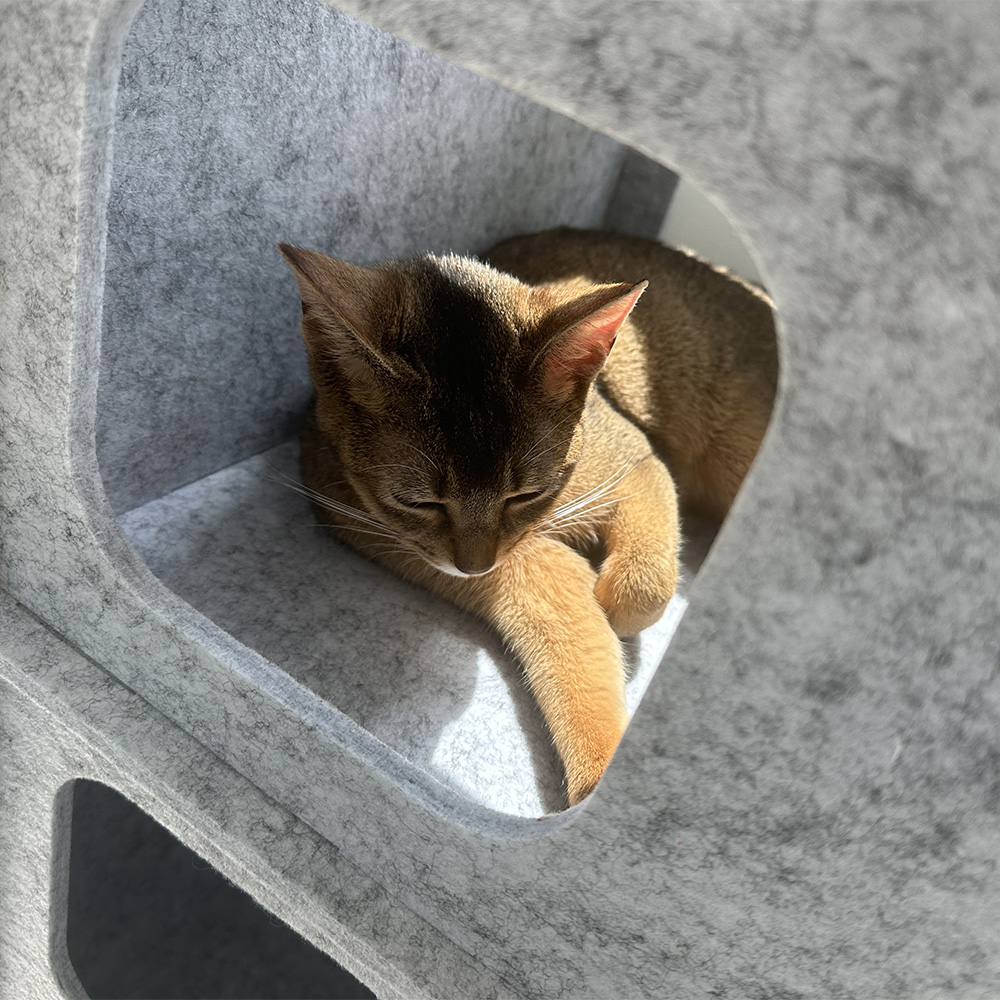 MIAMIA 펠트 고양이 숨숨 집 터널 캣타워 대형