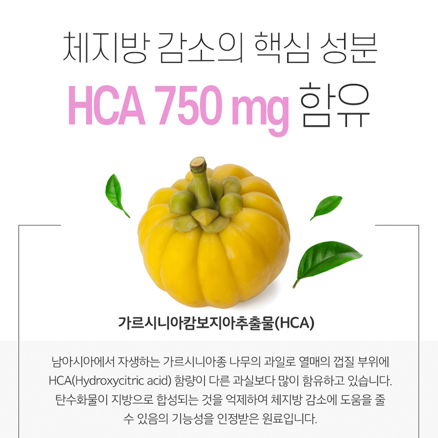 가르시니아 캄보지아 추출물 HCA 체지방 감소 바디 케어 다이어트 비타민 4종 - 상세 이미지 5
