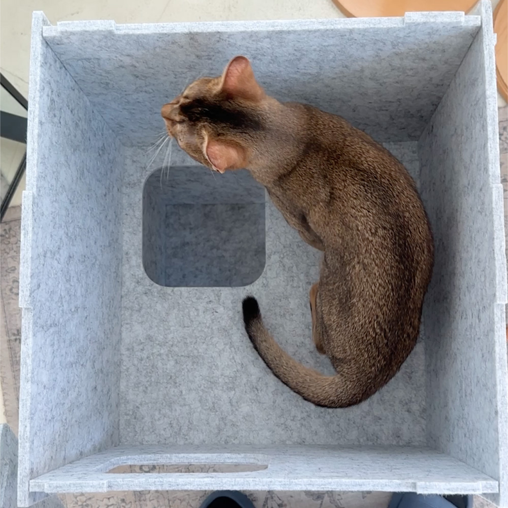 MIAMIA 펠트 고양이 숨숨 집 터널 캣타워 대형