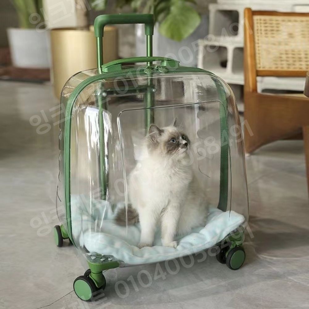 강아지캐리어 투명 우주선 배낭 고양이 플라스틱 캡슐 - 상세 이미지 2
