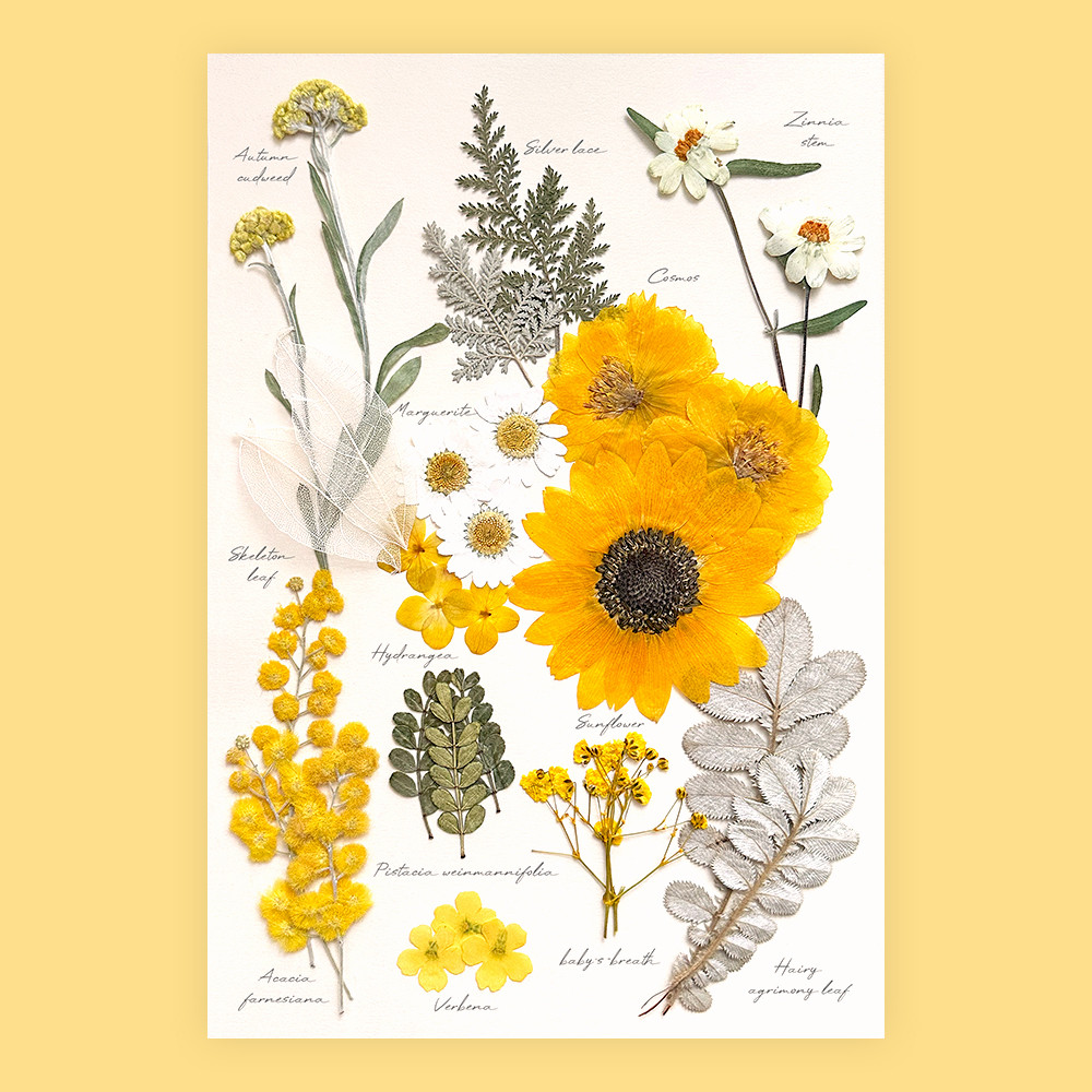 [프레스코21] 압화 꽃 꽃송이 레터링시리즈 오렌지마말레이드 이미지 2