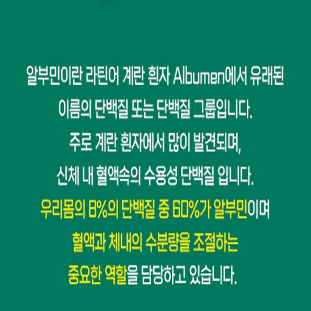 실크 알부민 마시는알부민 선물용 쇼핑백 - 상세 이미지 5