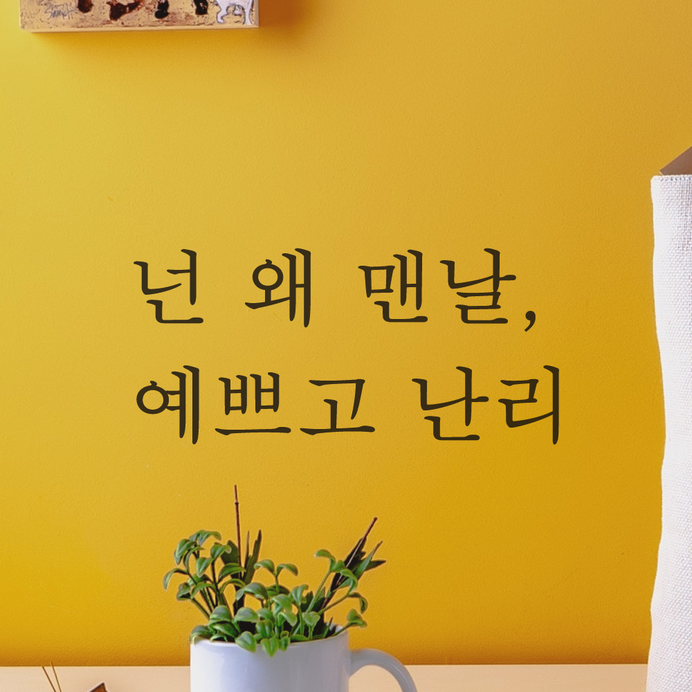 거울 창문 카페 레터링 스티커 넌 왜 맨날 예쁘고 난리 L-050S 검정 - 상세 이미지 4