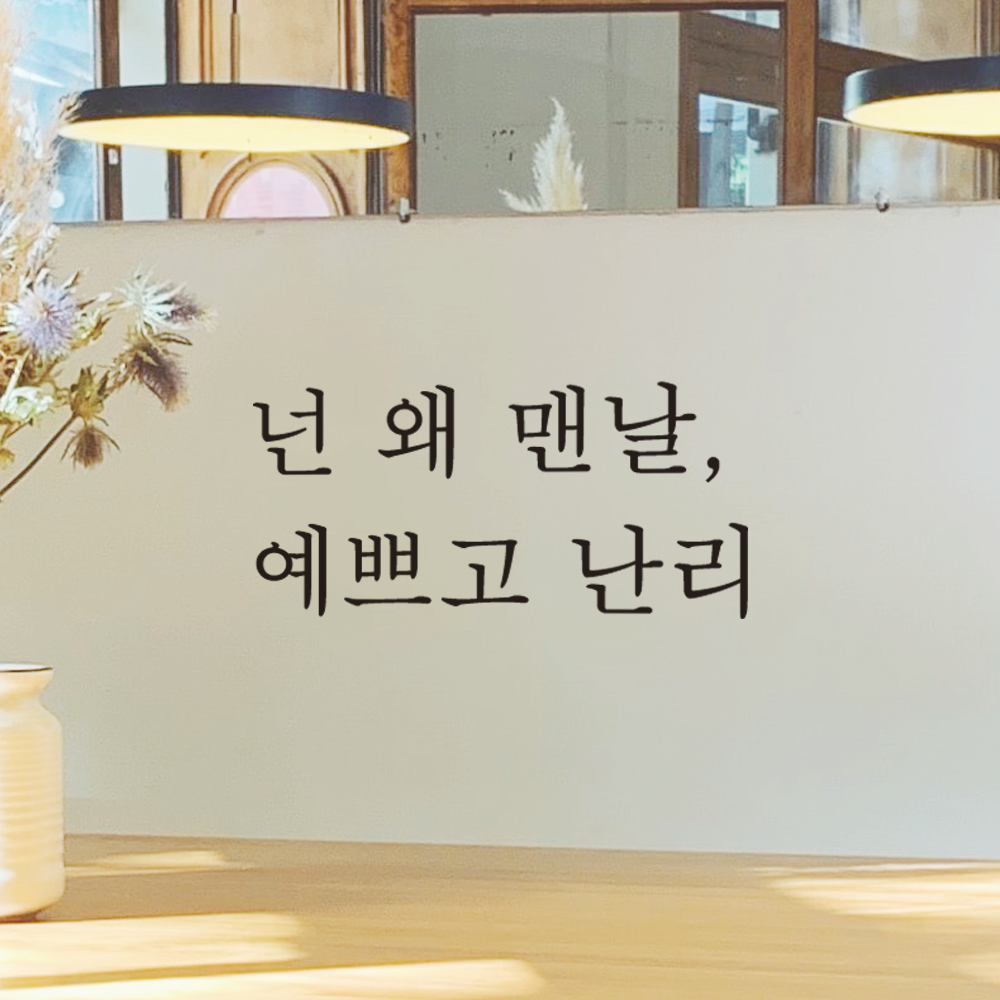 거울 창문 카페 레터링 스티커 넌 왜 맨날 예쁘고 난리 L-050S 검정 이미지 7