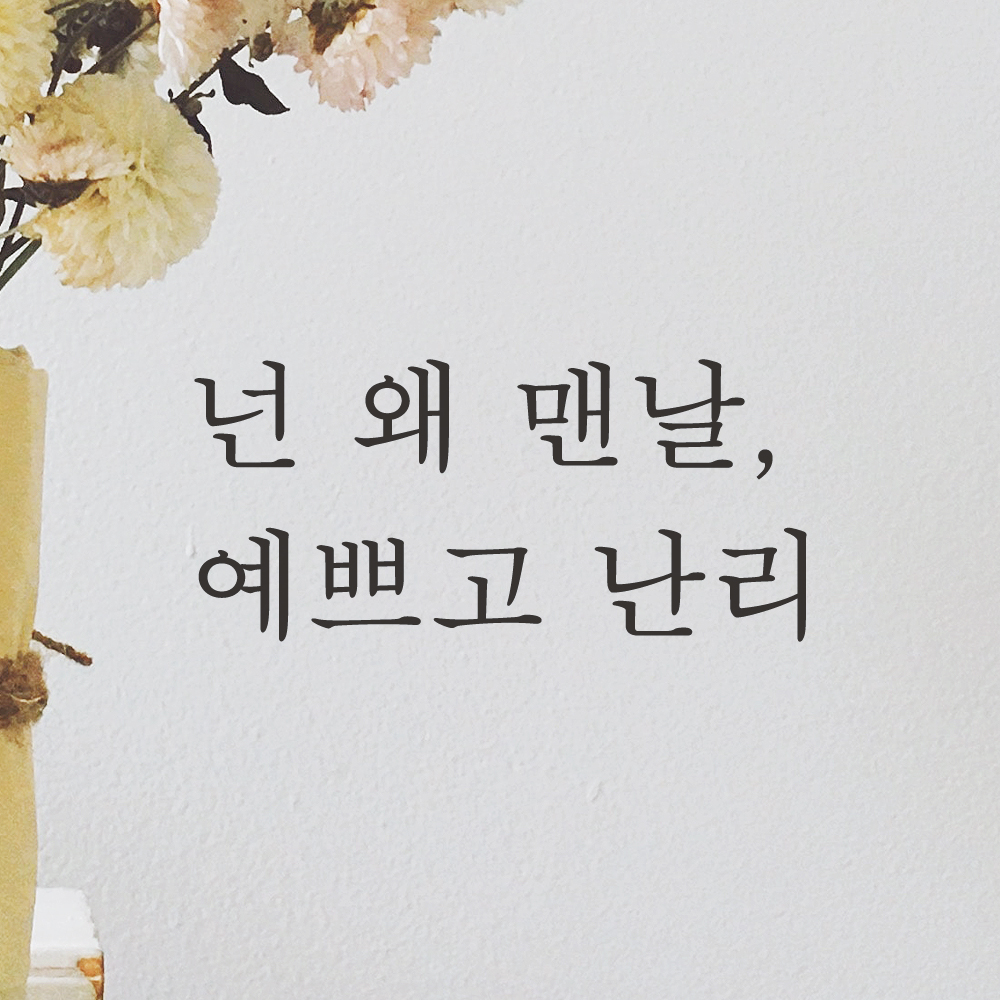 거울 창문 카페 레터링 스티커 넌 왜 맨날 예쁘고 난리 L-050S 검정 이미지 6
