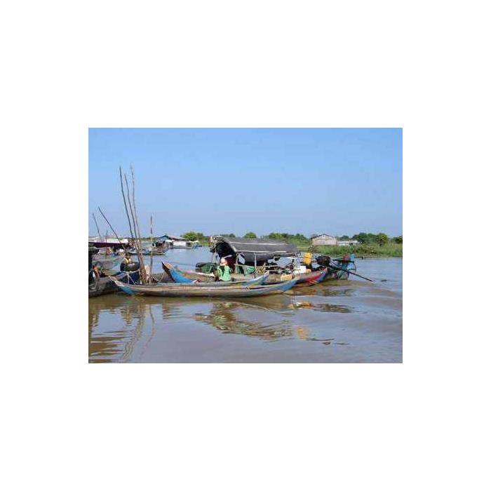 캄보디아 시엠립 톤레삽 호수(TONLE SAP LAKE) 어촌 마을 및 침수된 숲 - 상세 이미지 5
