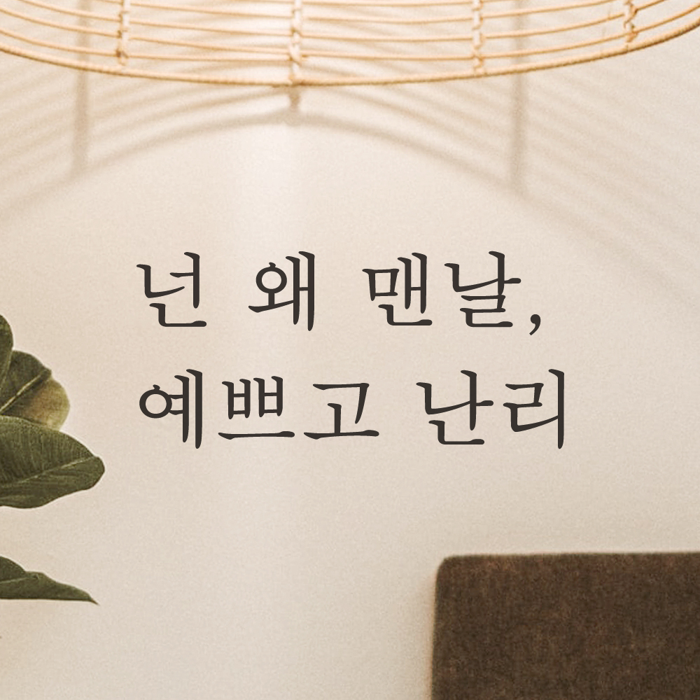 거울 창문 카페 레터링 스티커 넌 왜 맨날 예쁘고 난리 L-050S 검정 - 상품 이미지