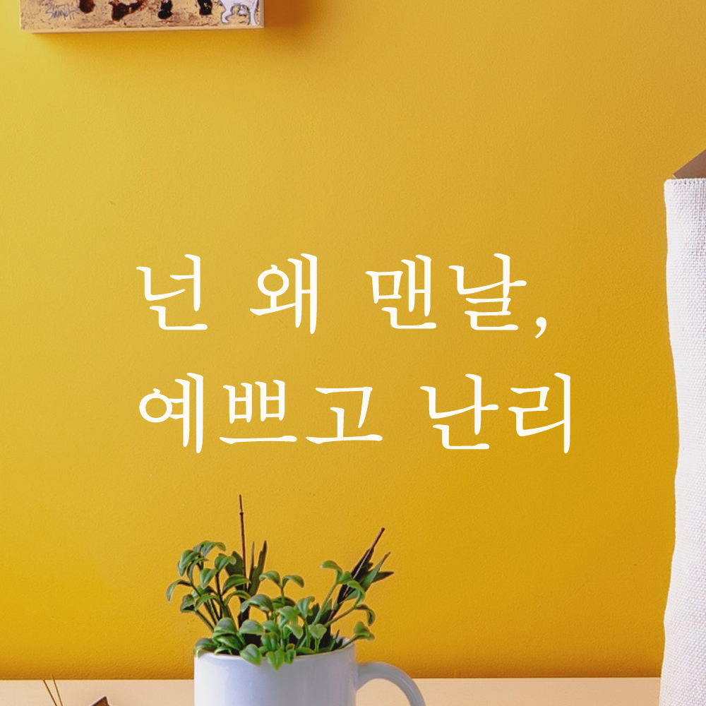 거울 창문 카페 레터링 스티커 넌 왜 맨날 예쁘고 난리 L-050S 검정 - 상세 이미지 5