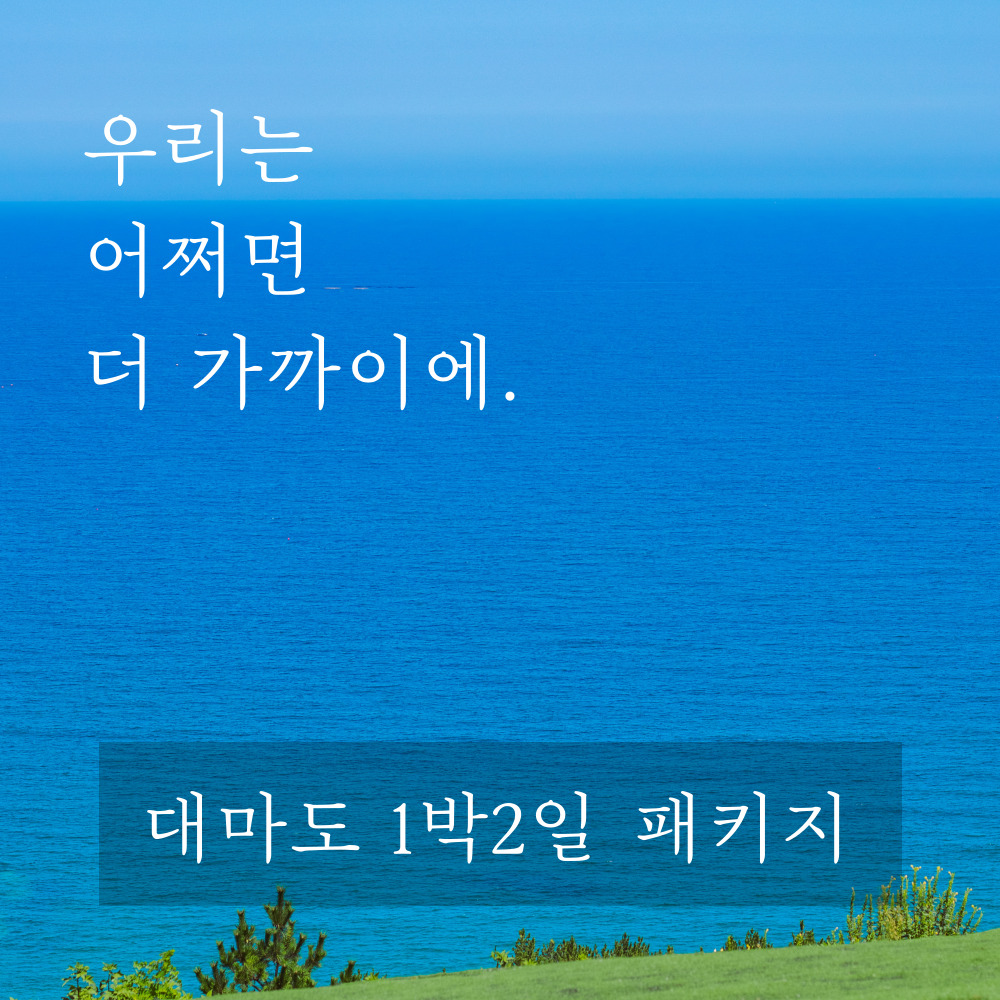 일본 대마도 1박 2일 이즈하라 시내 숙박 패키지 여행 노바호 쓰시마링크 씨플라워 - 상품 이미지