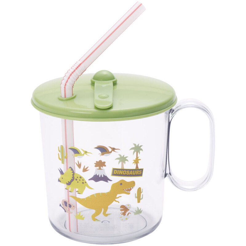 [발주상품 2~4 영업일 후 발송예정] 스케이터 DINOSAURS 캐릭터 항균 빨대컵 250ml SKJ6AG - 주방·식기 - 하카타몰