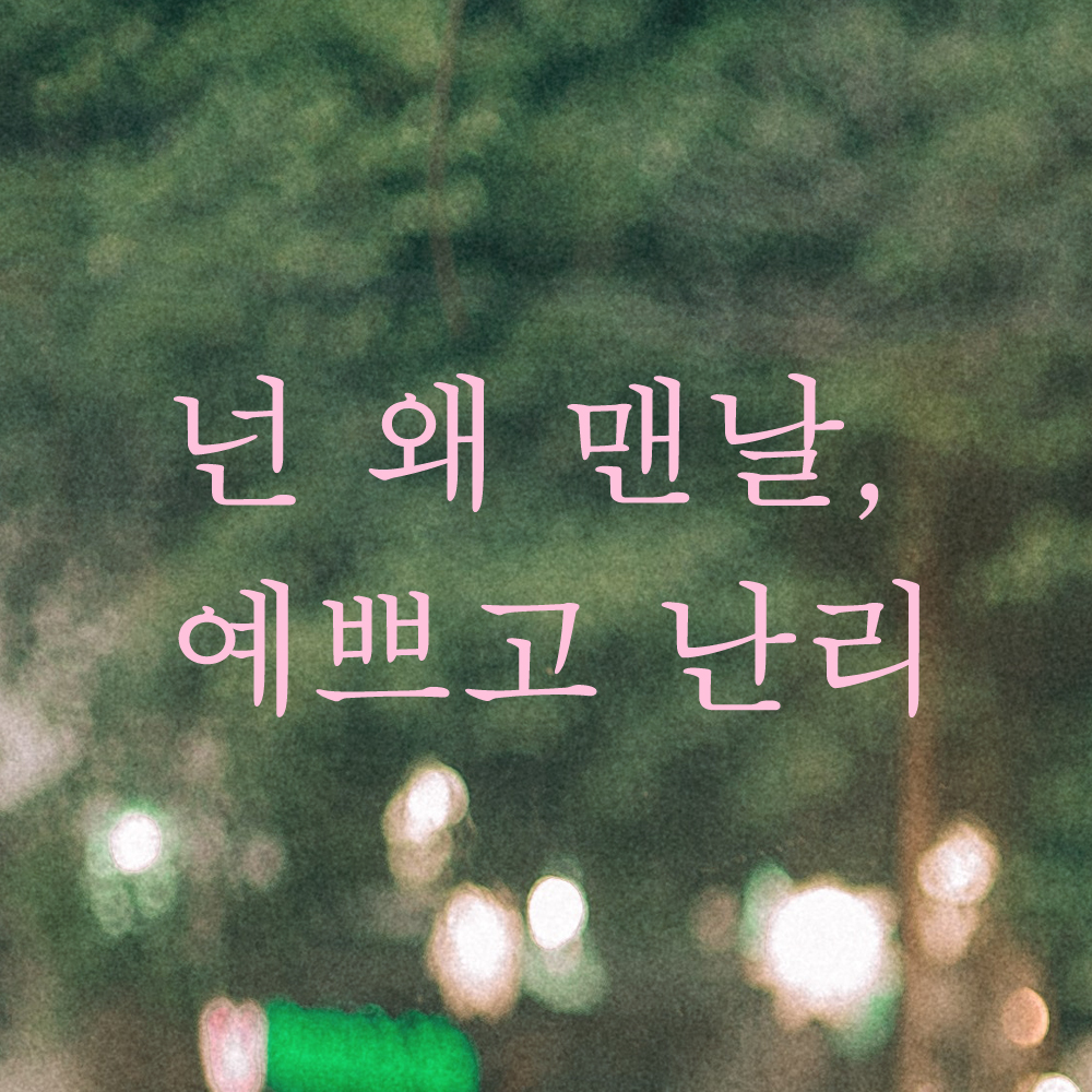 거울 창문 카페 레터링 스티커 넌 왜 맨날 예쁘고 난리 L-050S 검정 - 상세 이미지 3