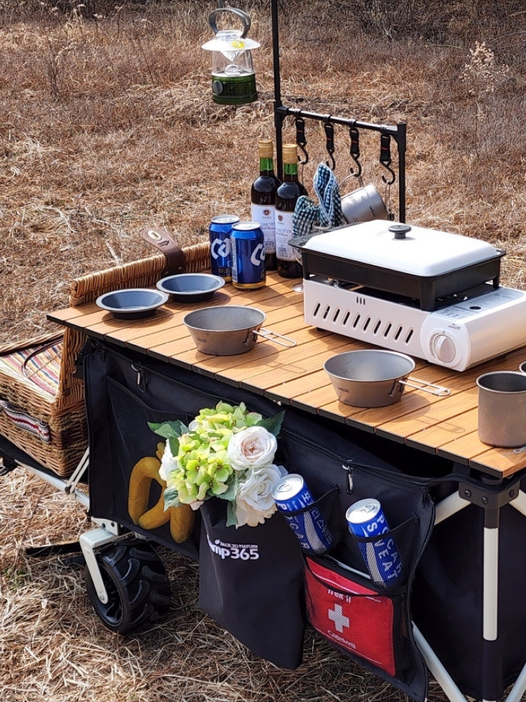 캠프365 파파웨건 스포츠 루프탑울트라 리프트업 뒷문개방 모래사장 광폭바퀴 내하중180kg