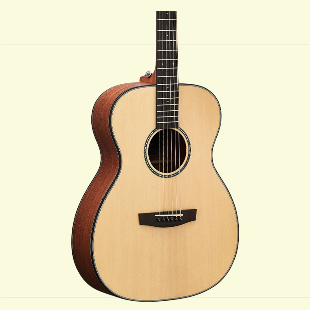 [최다구성품지급] 헥스 스팅 F300 LH/ OM바디/ 탑솔리드/ 왼손기타