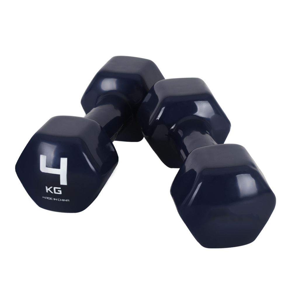 아나바 PVC 컬러 미용 아령 4kg, 2개, 블루 : ANAVA