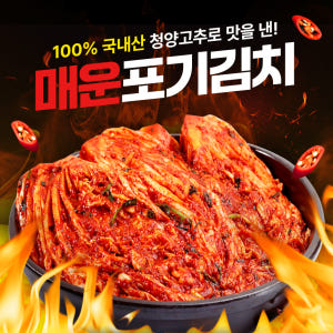 선김치 전라도 국산 매운 청양 실비 포기 배추김치 2kg 맛있게 먹은 솔직 후기 - 상품 이미지 3