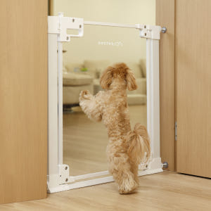 펫쭈 강아지 안전문 울타리 펫도어 투명 방묘문 고양이 펜스 80cm 소형 솔직 후기 | 실제 사용자 리뷰 총정리 - 상품 이미지 4