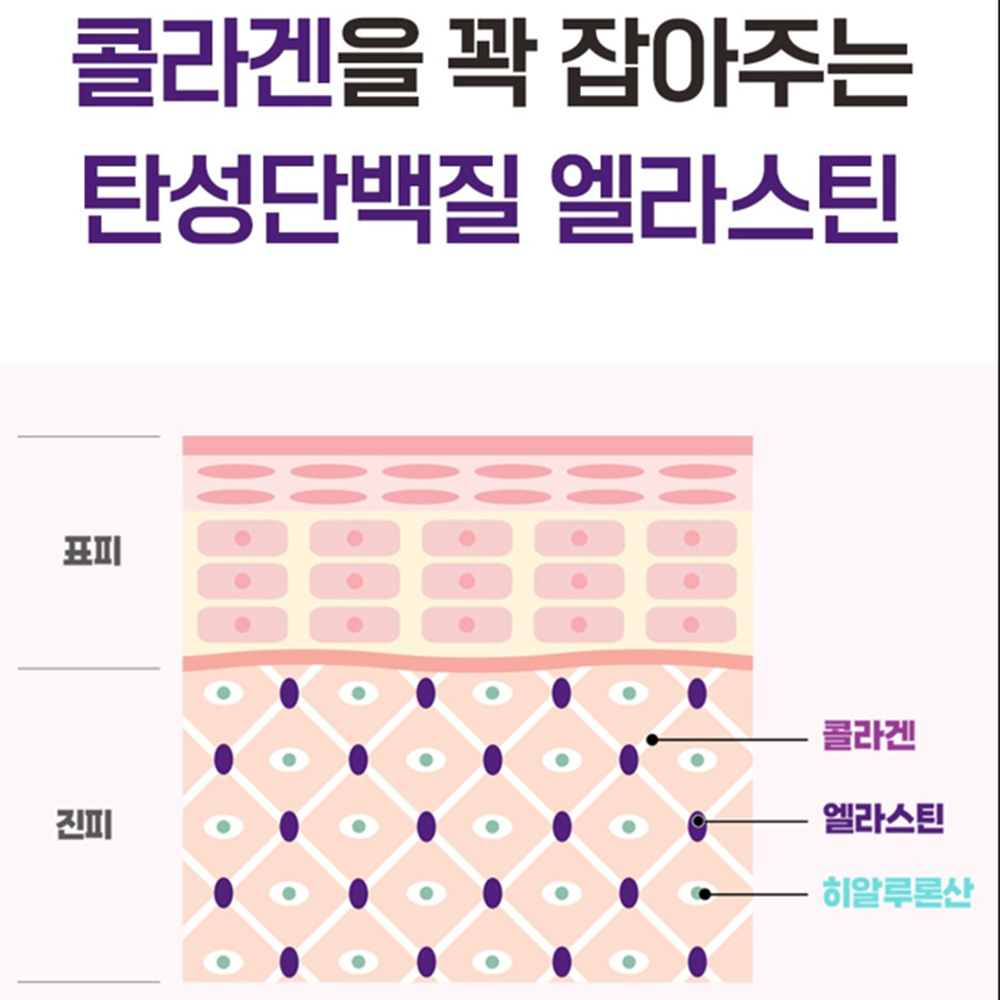 락토테미 3세대 말 엘라스틴 LN 플러스 60정 1개월 300달톤 피쉬콜라겐 히알루론산 - 상세 이미지 5