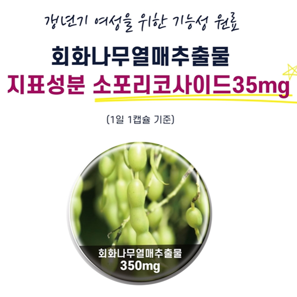 동신헬스케어 소포리코사이드 60캡슐 2박스 4개월 회화나무열매추출물 비타민 B군 마그네슘 - 상세 이미지 5