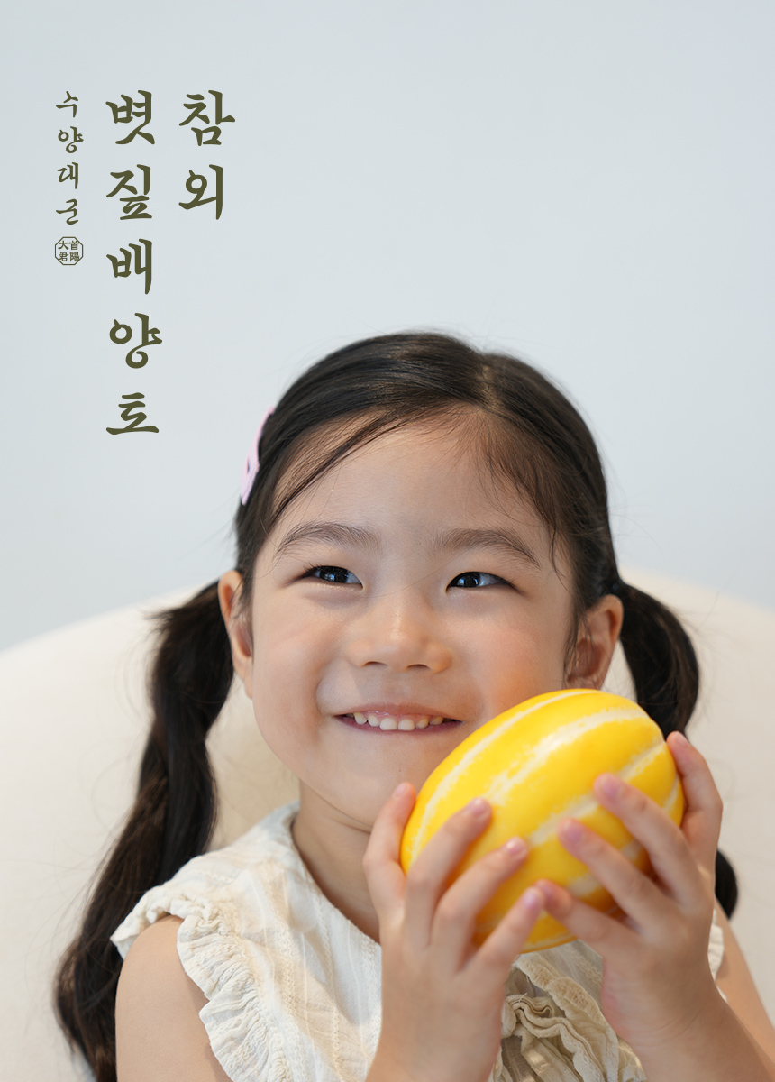 성주참외 프리미엄 참외 참외 고르는법 선물용 참외 성주참외 후기