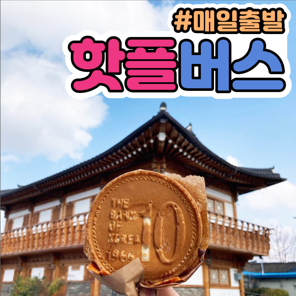 핫플트립 경주버스투어 당일치기 패키지 투어