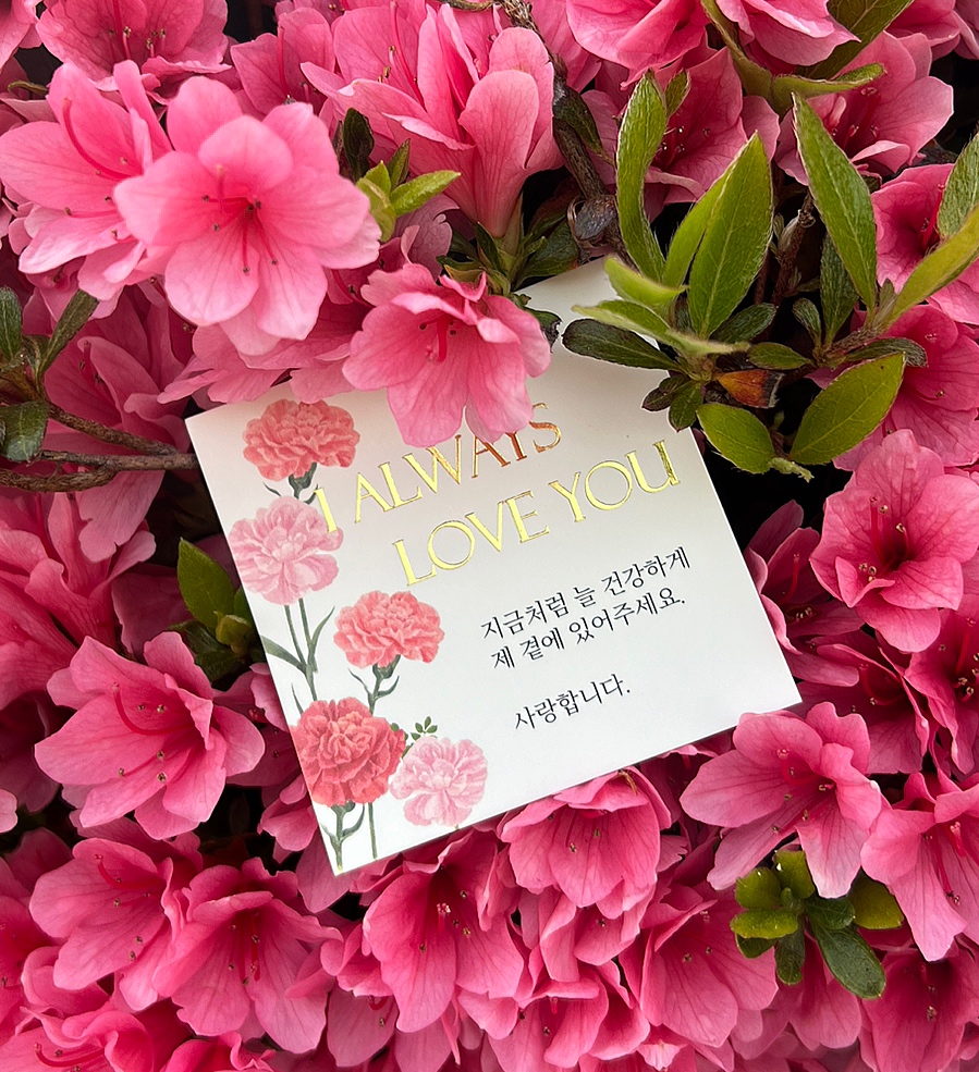 [생강진액&궁중디저트세트] 상견례 첫인사 답례품 부모님 선물 이미지 6