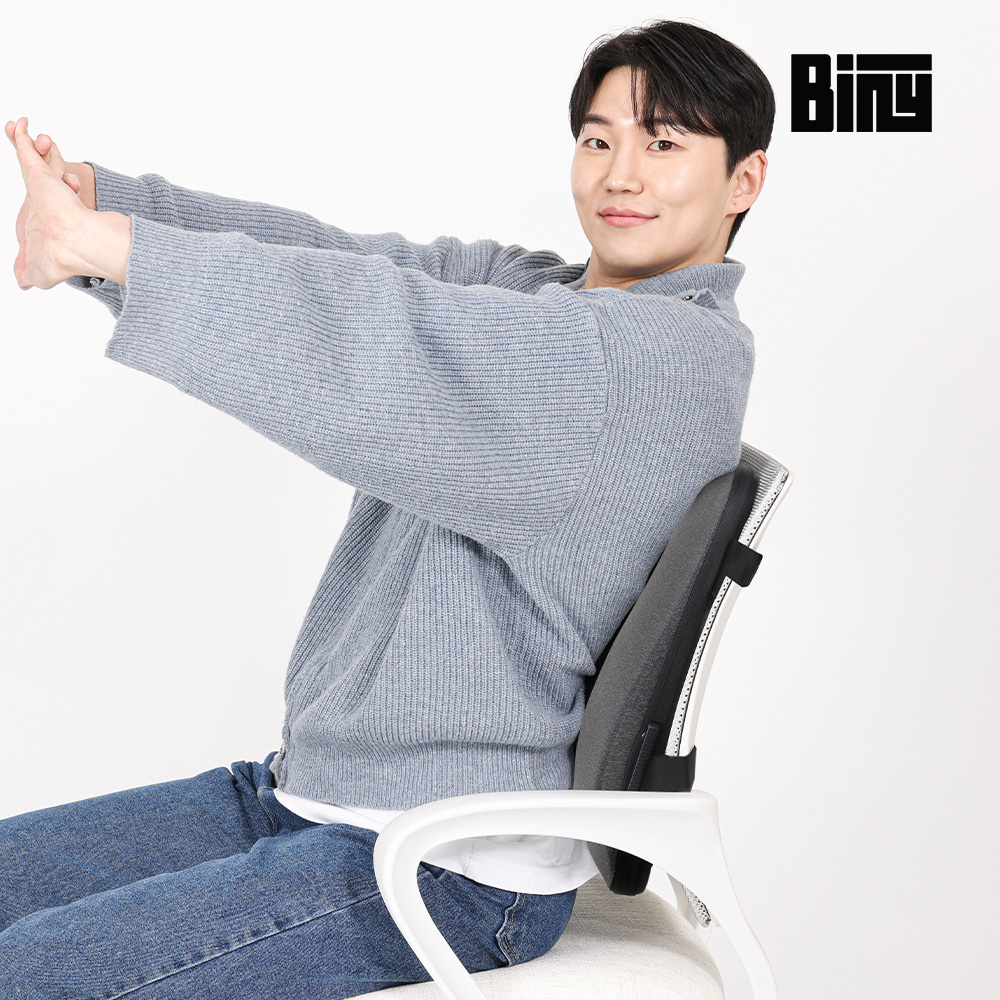 바이니 등받이쿠션 사무실의자 의자 허리 요추 쇼파 메모리폼 등쿠션 차량용 화물차