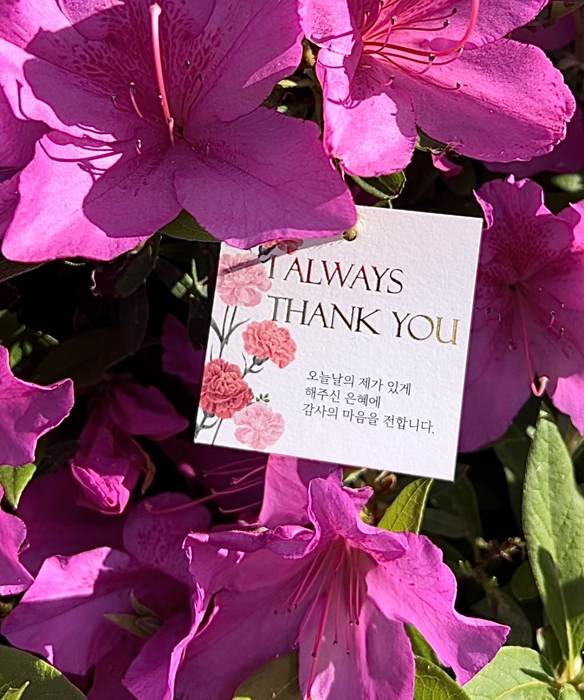 [생강진액&궁중디저트세트] 상견례 첫인사 답례품 부모님 선물 이미지 7