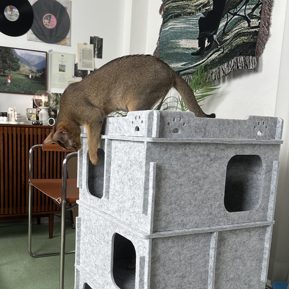 MIAMIA 미로 고양이 숨숨집 동굴 숨숨 터널 캣타워 대형