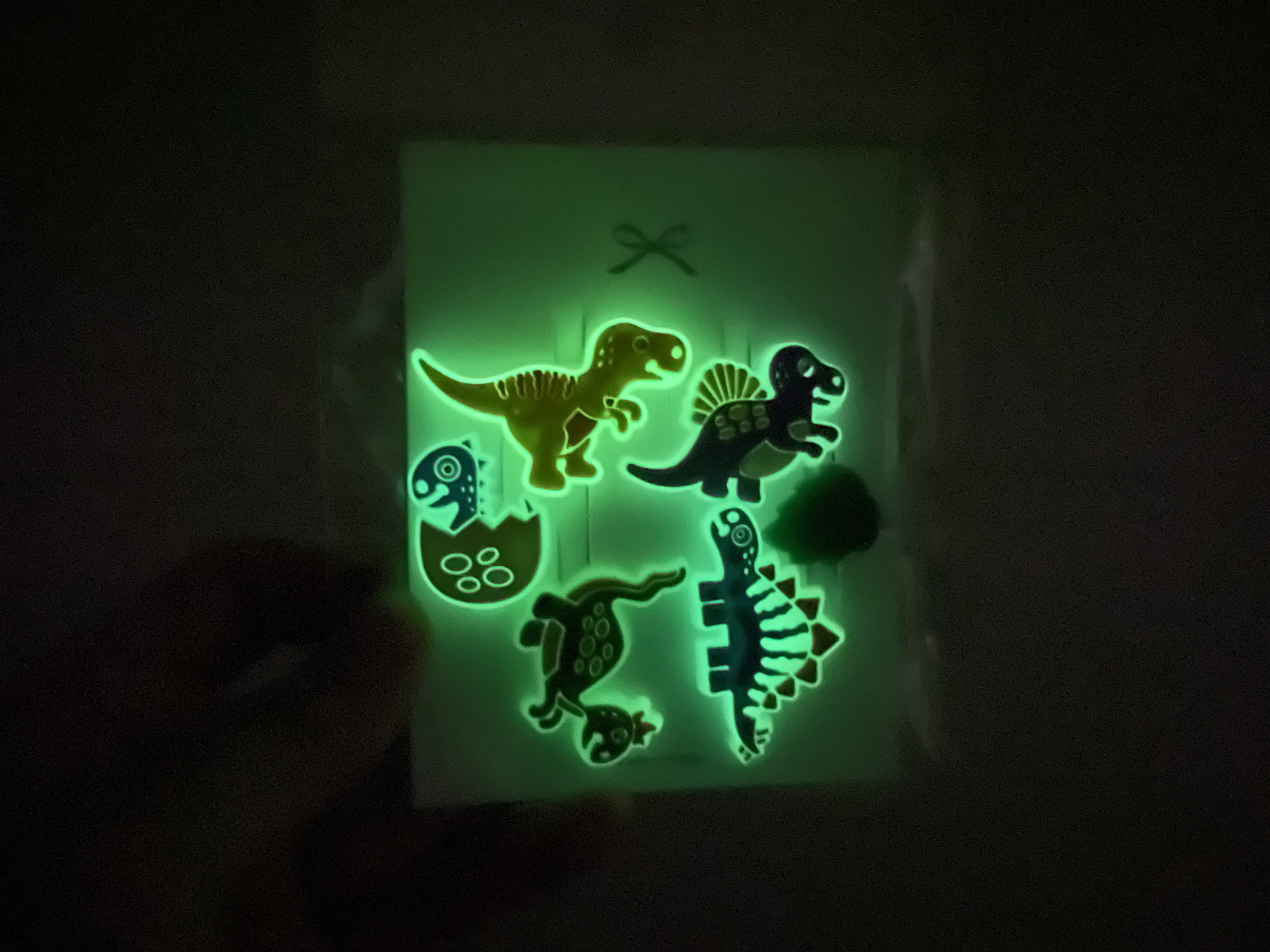 LED 지비츠 자동차 야광 공룡 자비츠 세트 남아 신발 지비추