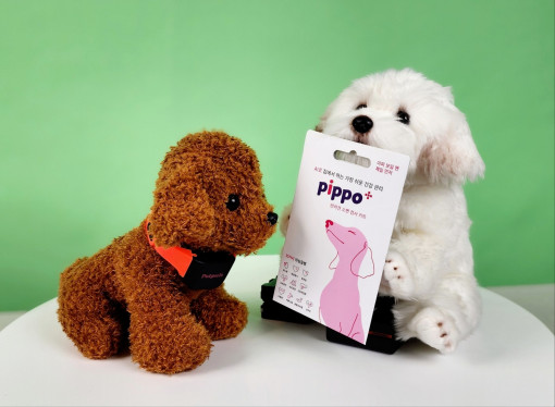 개과천선 삐뽀(pippo) 강아지 소변검사키트 건강관리용품 11가지요인 질병 검사 4회분 - 상세 이미지 4