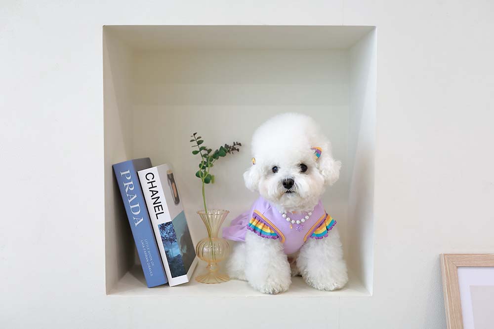 강아지 진주 목걸이 인식표 각인 고양이 이름표 산책선물 - 롤리팝 이미지 7