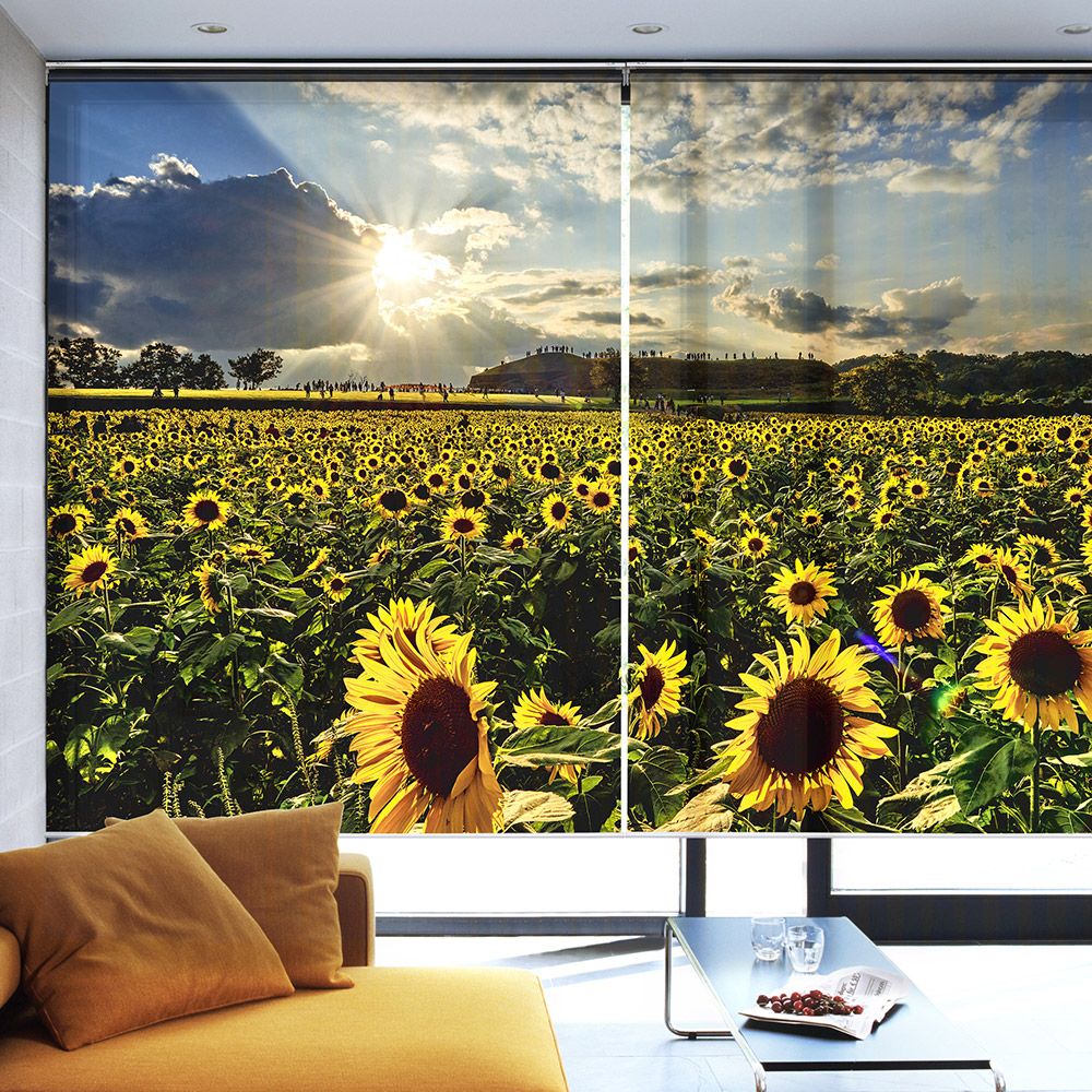 아라크네 롤스크린 아이방 실사 블라인드 아기방 창문 거실 나무풍경 30x30