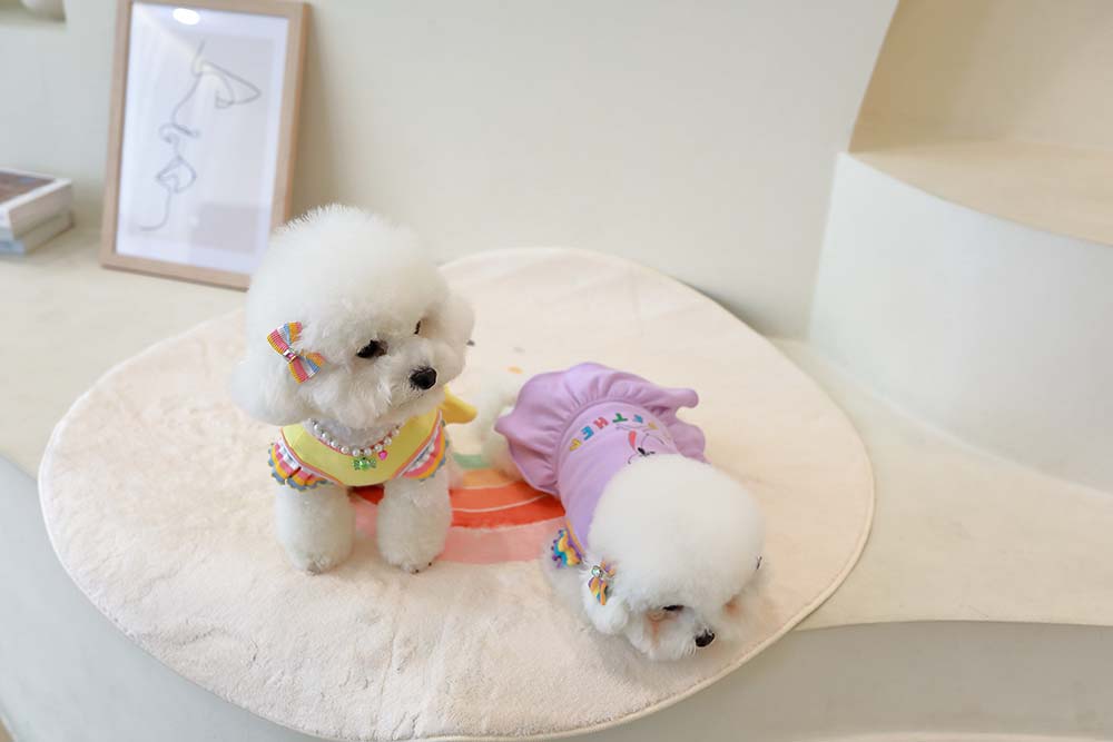 강아지 진주 목걸이 인식표 각인 고양이 이름표 산책선물 - 롤리팝 이미지 8