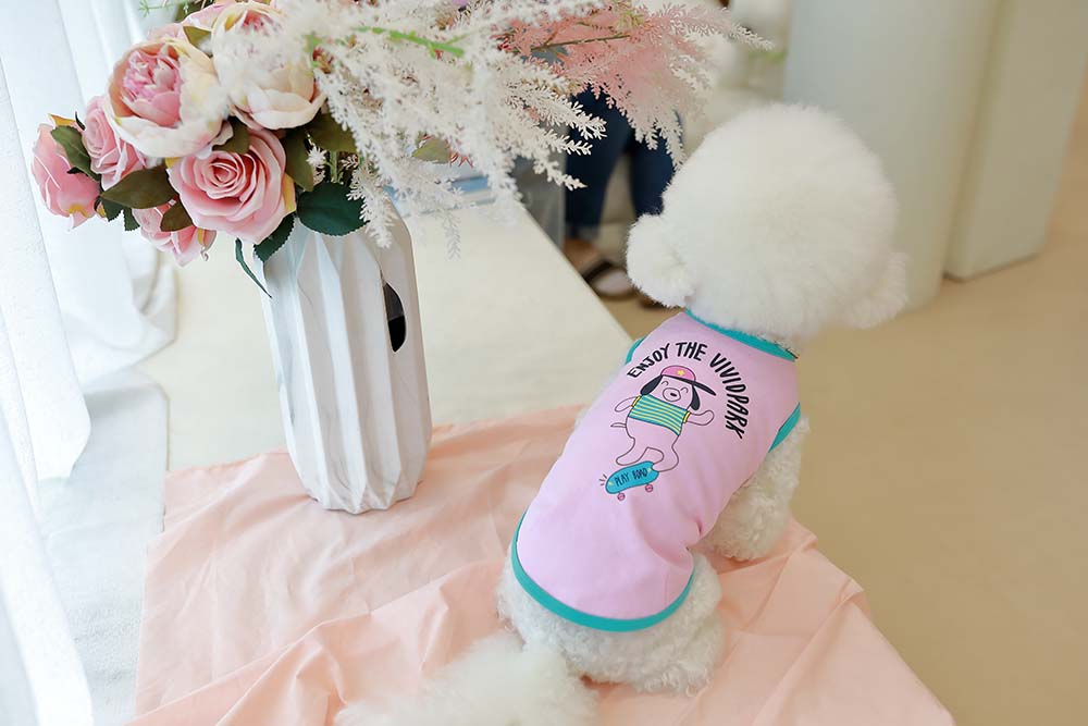 비비드펫 강아지옷 실내복 데일리 티셔츠 여름옷 커플룩 산책룩 개플룩 - 상세 이미지 2