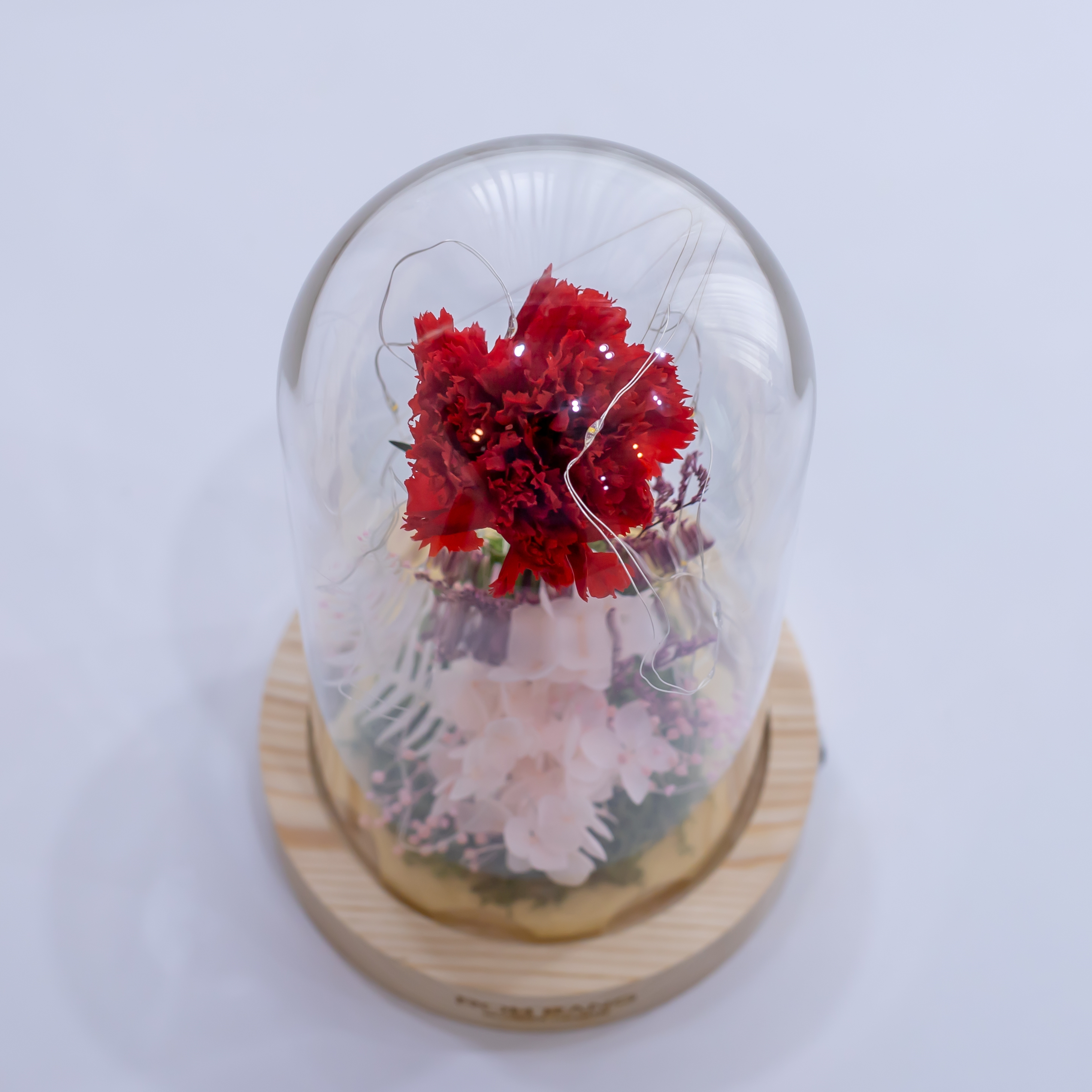 카네이션 화분 어버이날 선물 0508무드핑크 생화 꽃다발 스승의날 꽃바구니