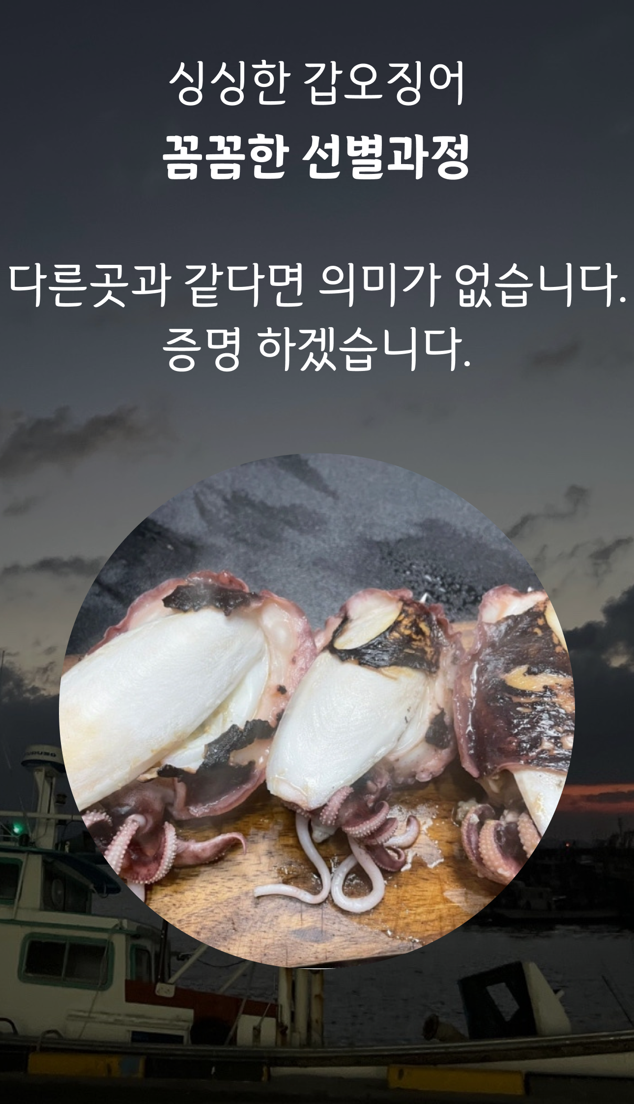 국내산 갑오징어 생물 특품 4kg, 1개 이미지 8