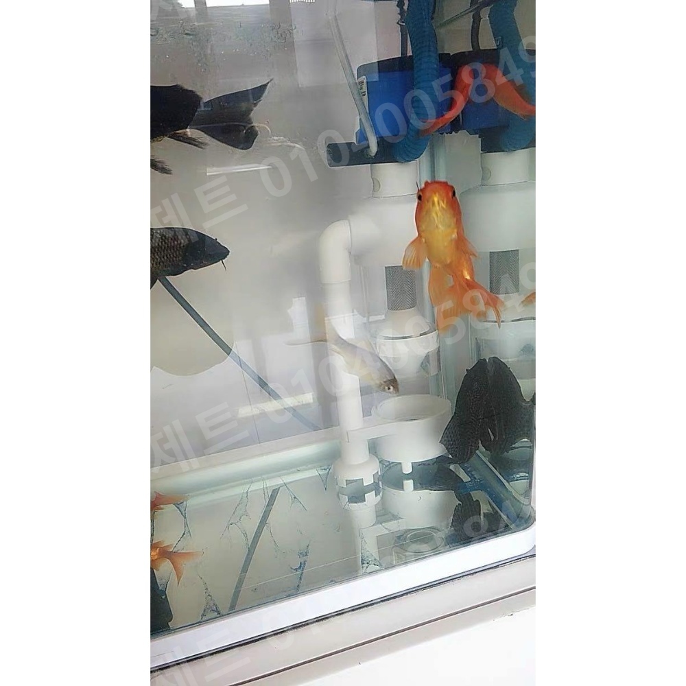 원통여과기 자동 수족관 청소 배설물 흡입 펌프 설치 - 상세 이미지 5