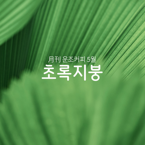 운조커피 월간커피 2024/5월 초록지붕 200g 원두 커피 - 메인 이미지